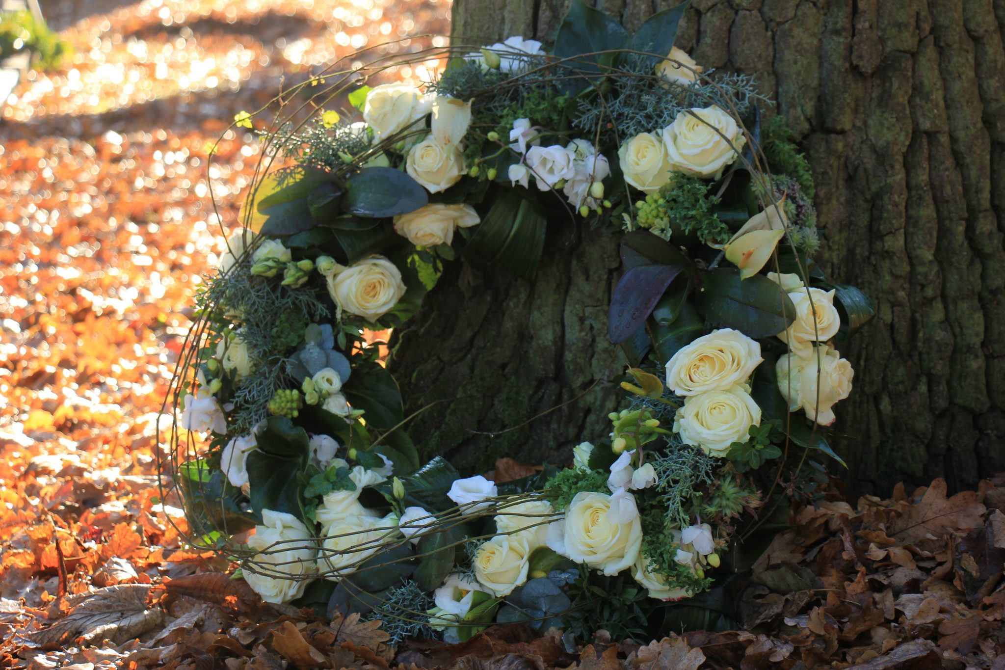 Cementerio ecológico